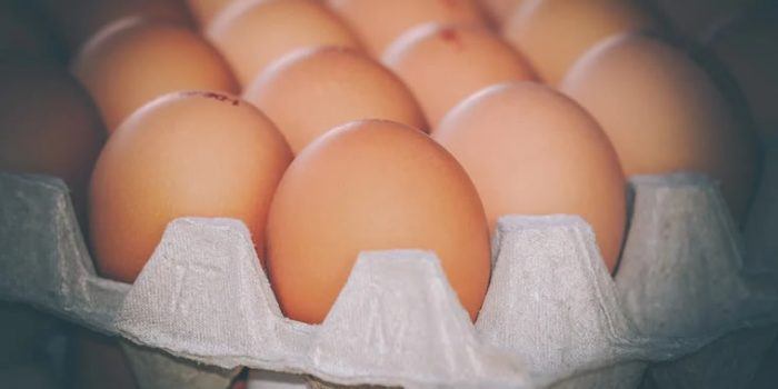 Como saber se os ovos expirados ainda podem ser comidos 1